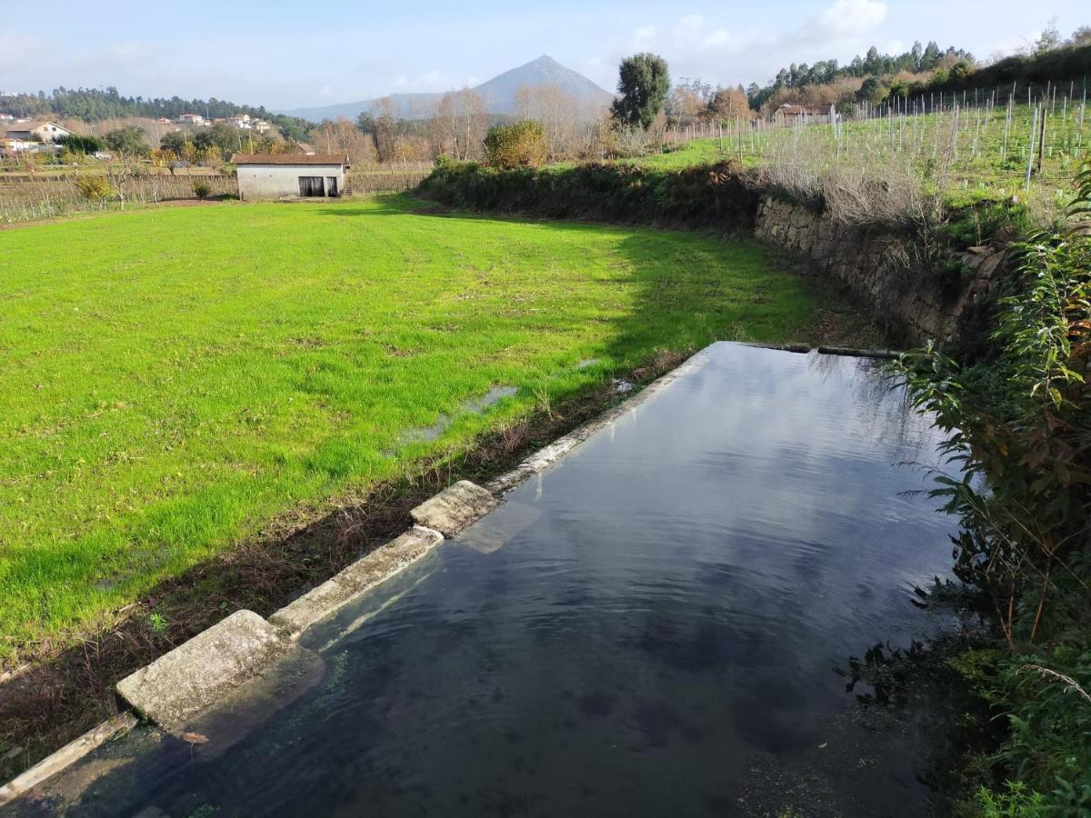 Quinta Da Lage Agroturismo E Enoturismo Celorico De Basto Dış mekan fotoğraf