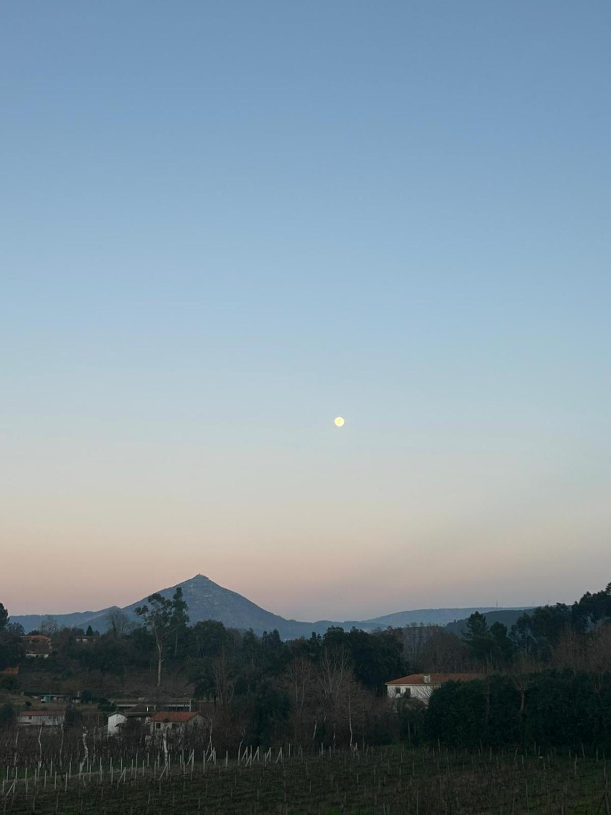 Quinta Da Lage Agroturismo E Enoturismo Celorico De Basto Dış mekan fotoğraf