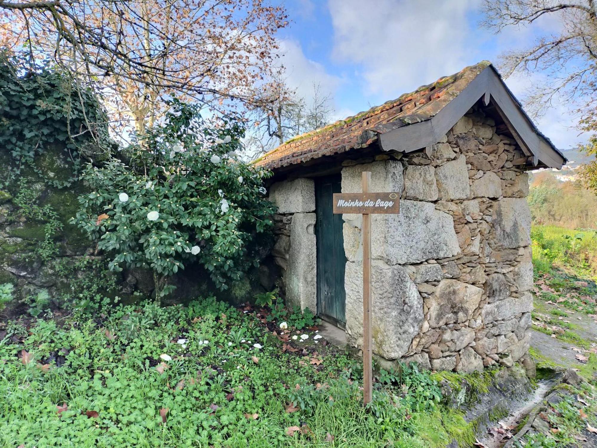 Quinta Da Lage Agroturismo E Enoturismo Celorico De Basto Dış mekan fotoğraf