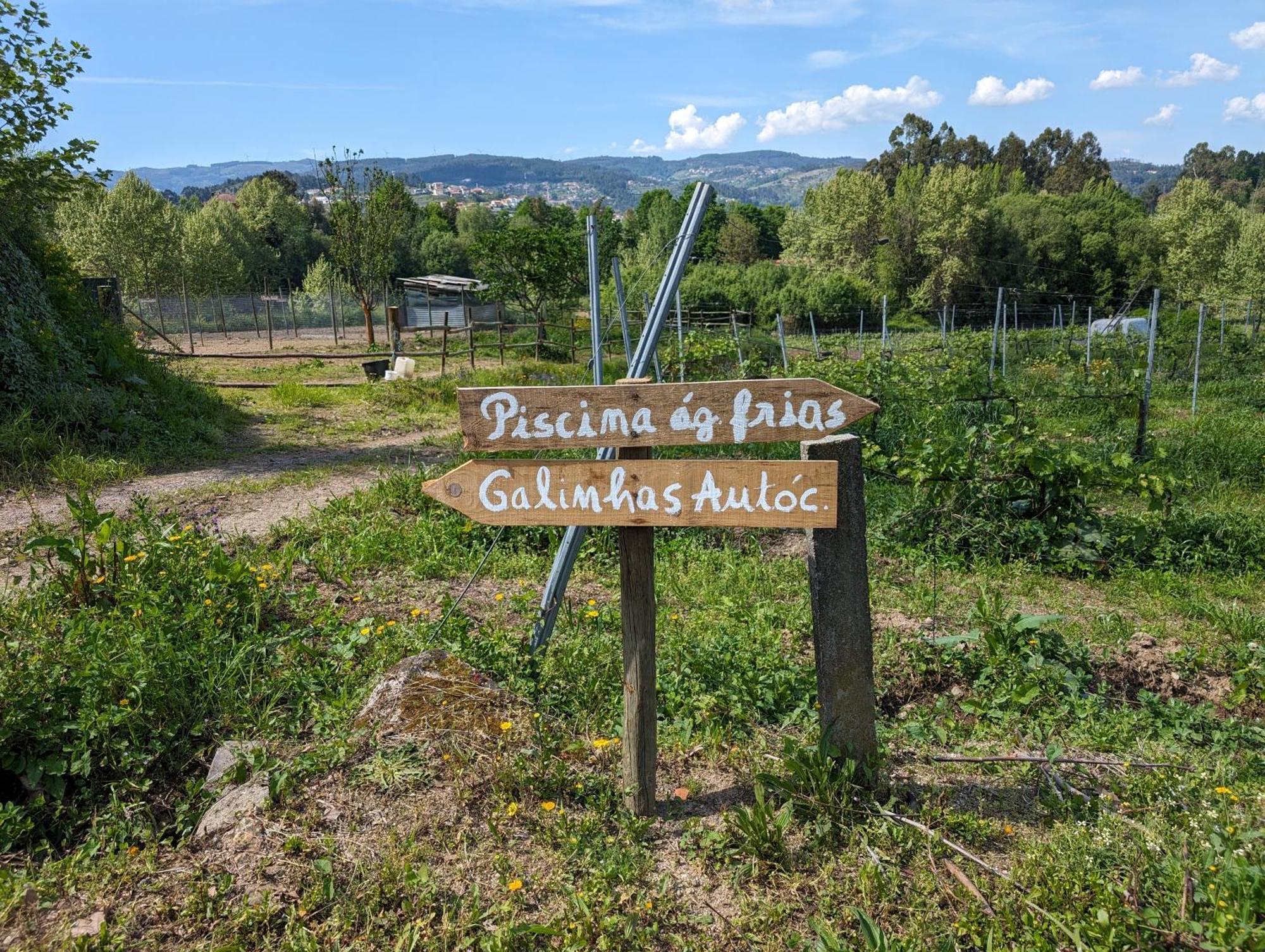 Quinta Da Lage Agroturismo E Enoturismo Celorico De Basto Dış mekan fotoğraf